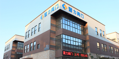 公司簡介