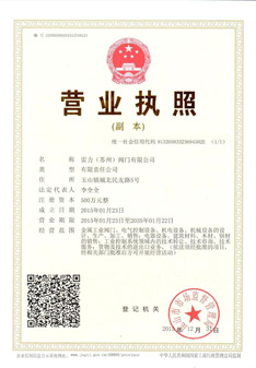 蘇州雷力-營(yíng)業(yè)執(zhí)照