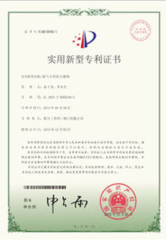 雷力閥門新型專利-煤氣專用防塵蝶閥