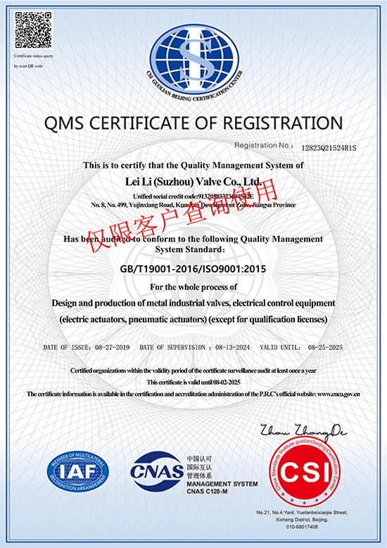 蘇州雷力-ISO9001質量管理體系認證-英文.jpg 蘇州雷力-ISO9001質量管理體系認證-英文.jpg